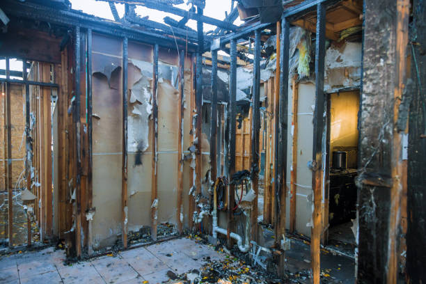 Professional Fire Damage Assessment technician working in Hurley, MS